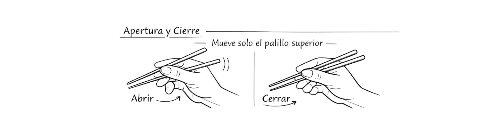 Tutorial  pasos para usar palillos: apertura y cierre